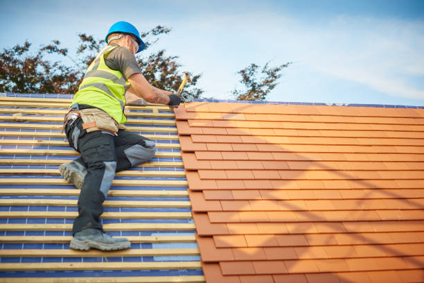 Best Roof Moss and Algae Removal  in Taft Mosswood, CA